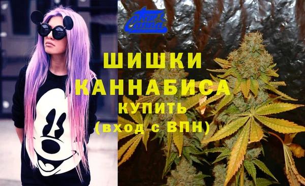ECSTASY Медвежьегорск